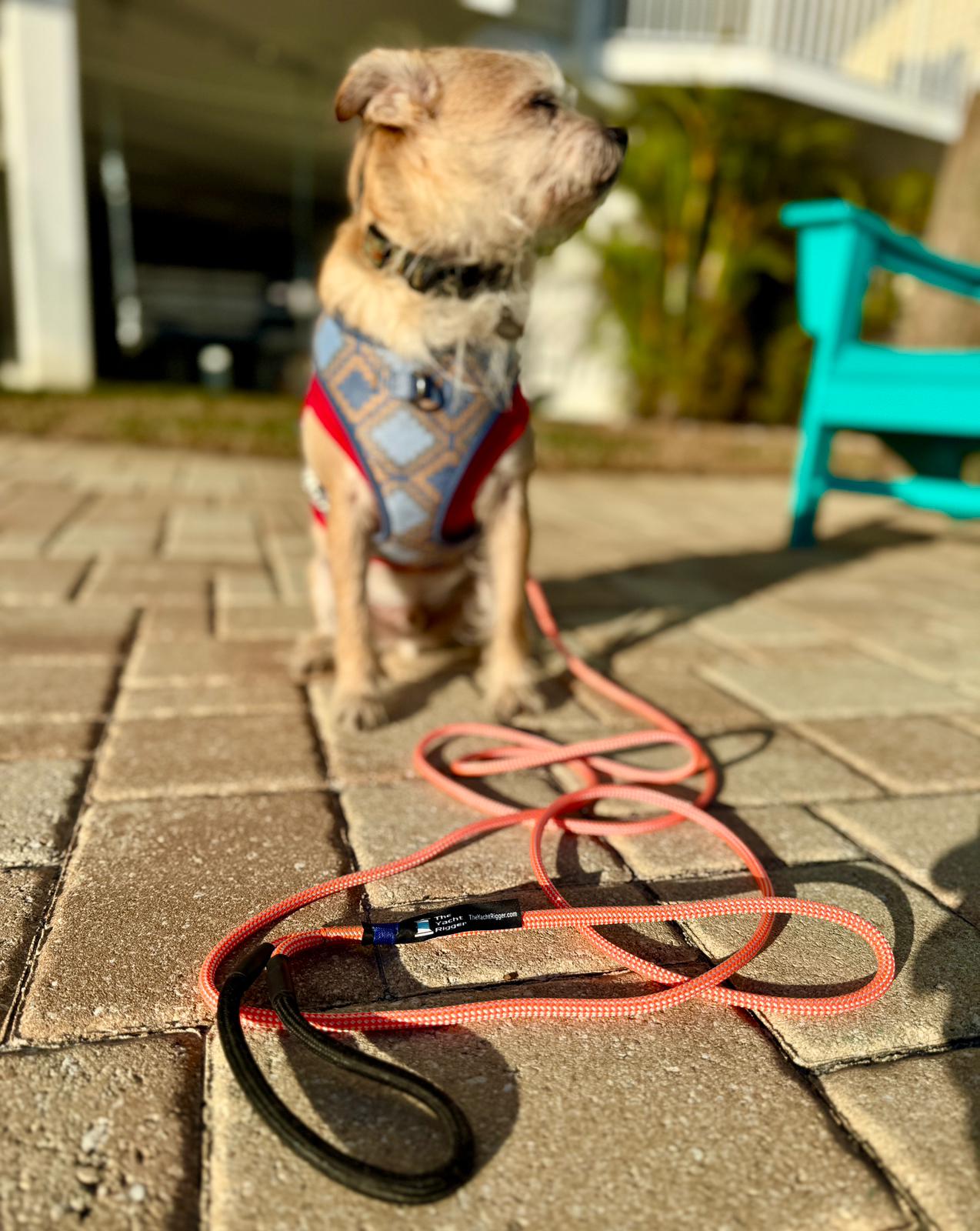Coming Soon! Custom Dog Leash
