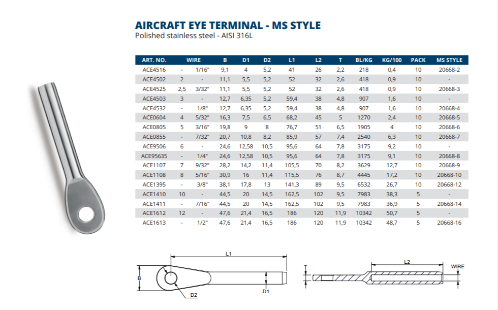 Aircraft eye terminal
