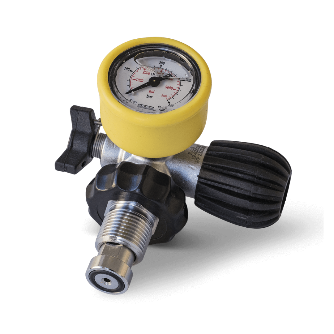 DRV DIN 232 BAR with gauge